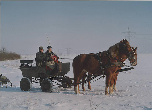Wagonette im Winter